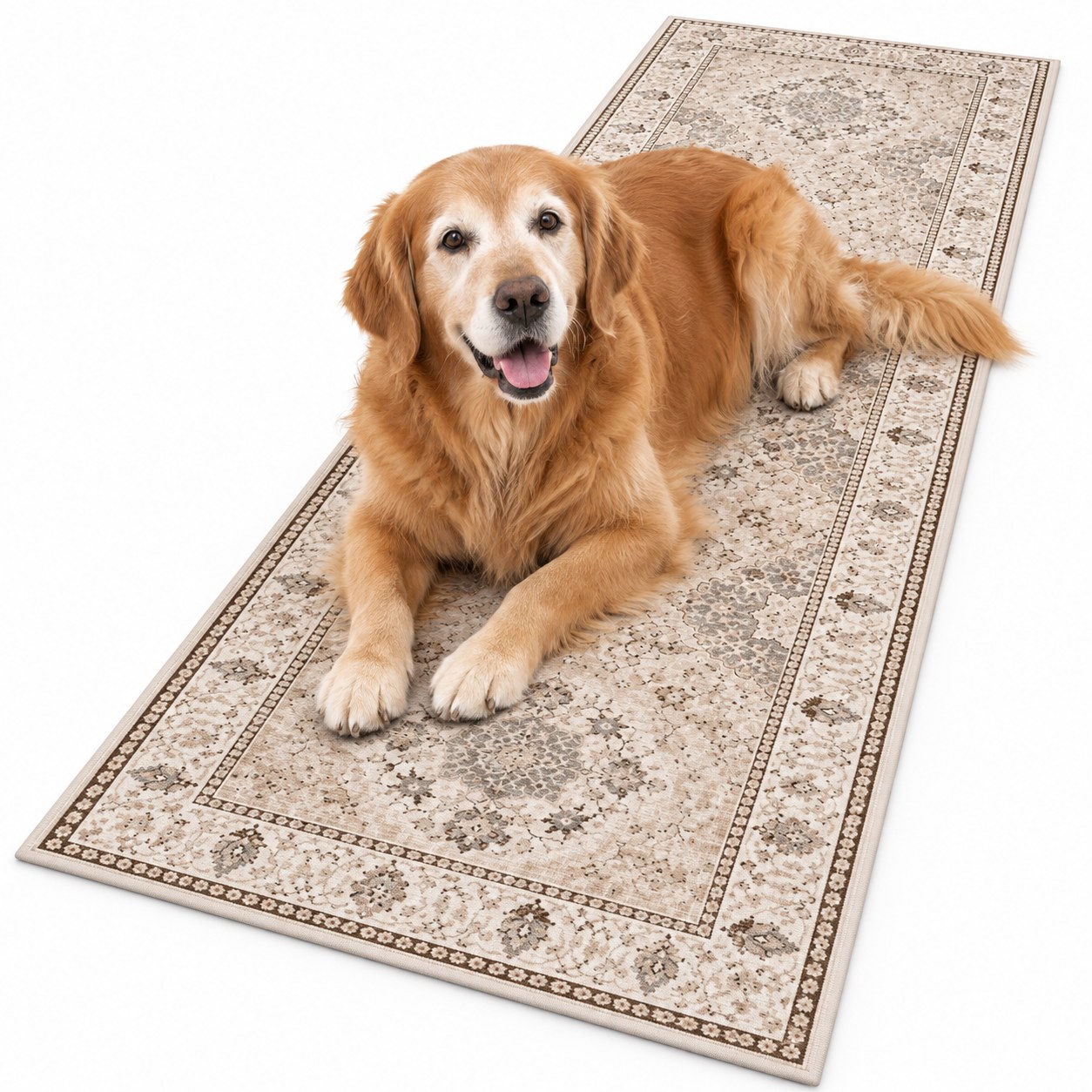 HAOYUNLAI Washable Non-Slip Runner Rug (2 x 6 ft)