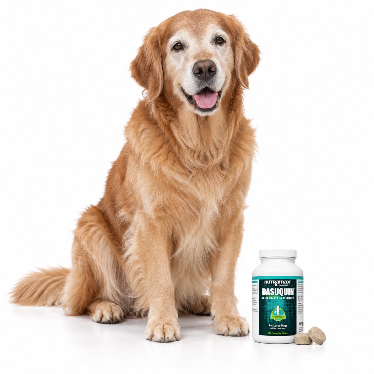 Nutramax Dasuquin for Large Dogs (60 lb and over)